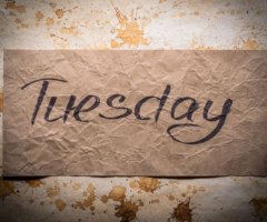 Tuesday
